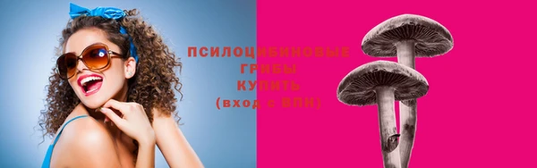 меф Армянск