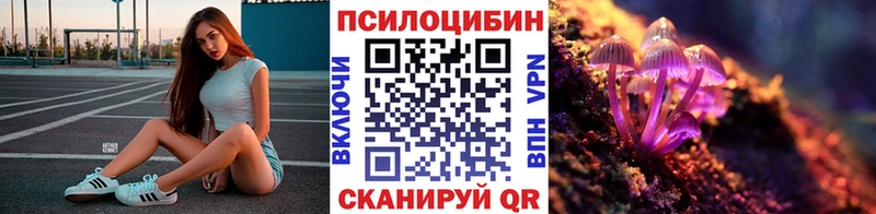 Галлюциногенные грибы мицелий  Купить где  Бронницы 